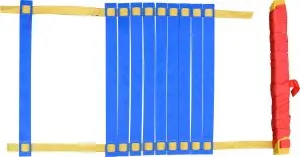 স্পিড এজেন্সি লেডার